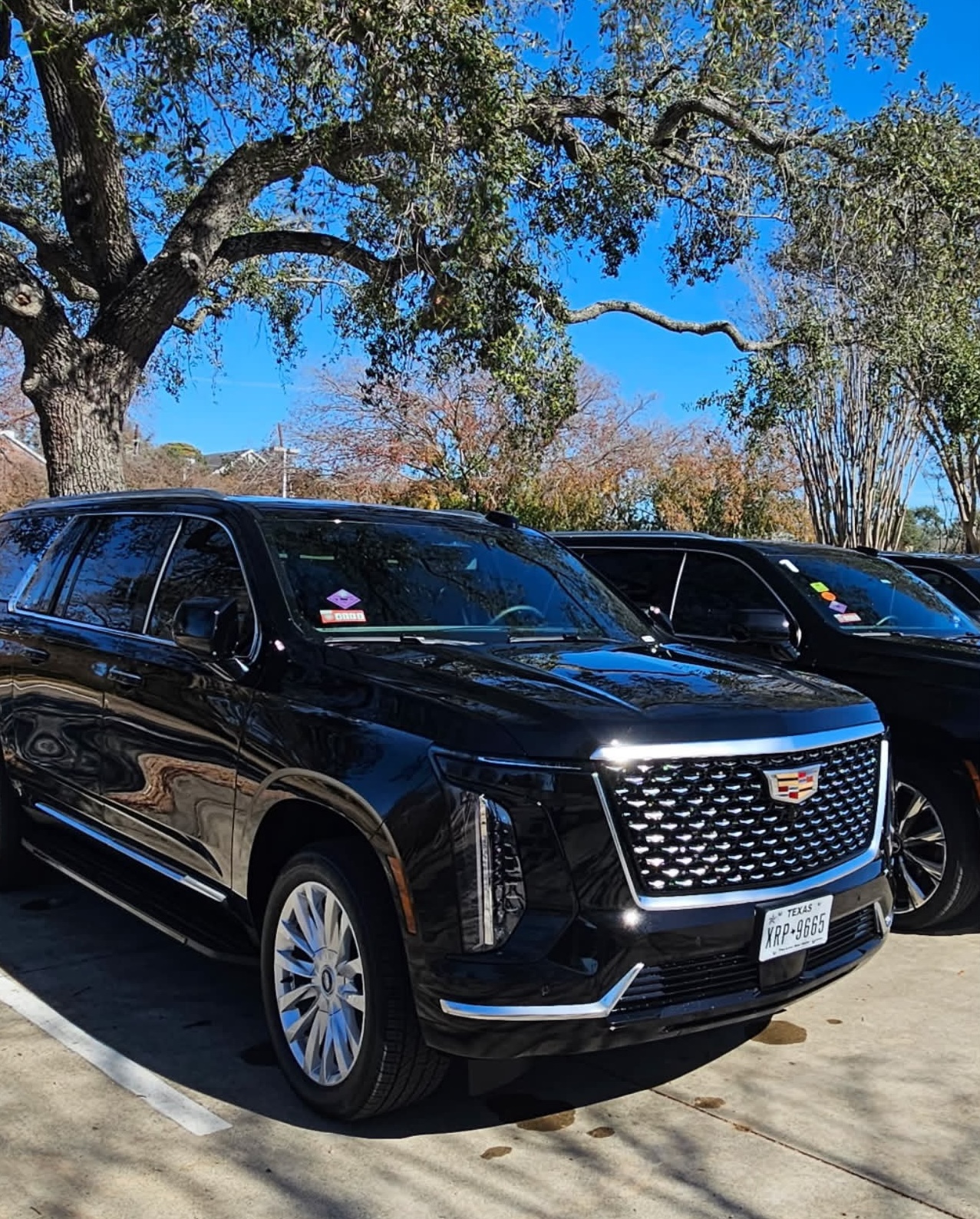 Abraham Black Car fleet vehicle
